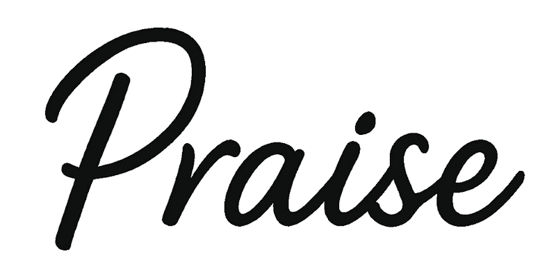 Icon representing praise